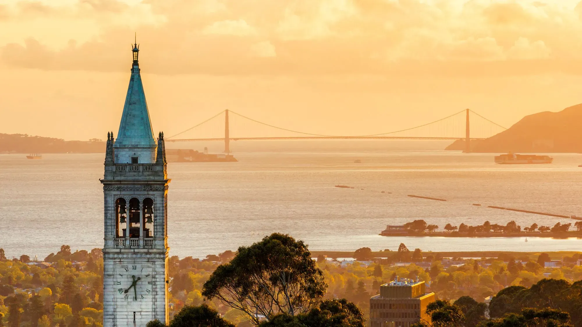 Kid-to-Kid Travel Advice: Fun Things to Do in Berkeley with Kids